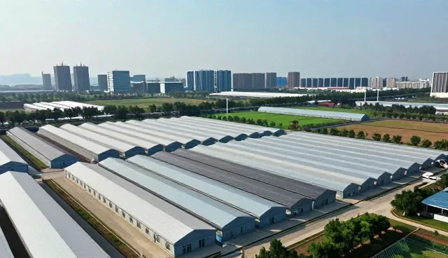 系统运维中的技术适配实践与优化策略
